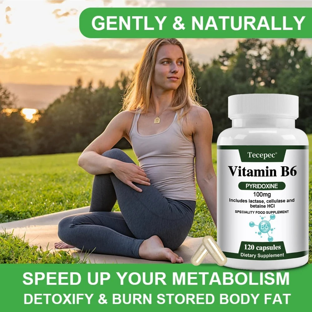 Vitamin B-6 Pyridoxine